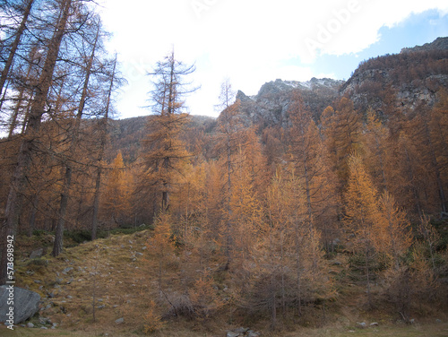 Autumn by the Ceresole Reale lake. Alps, Italy.