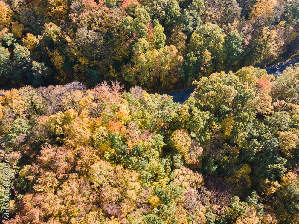 Aerial Autumn landscaape of Vitosha Mountain, Bulgaria