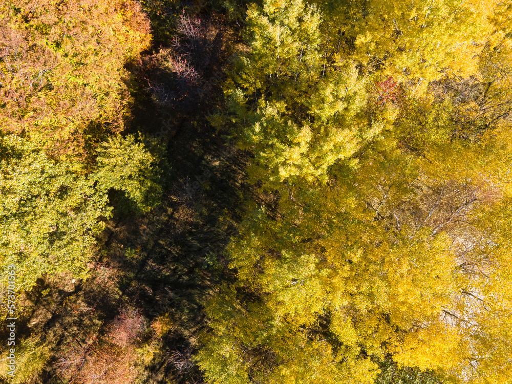 Aerial Autumn landscaape of Vitosha Mountain, Bulgaria Aerial Autumn landscaape of Vitosha Mountain, Bulgaria