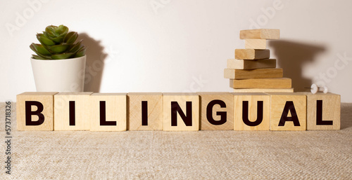 Bilingual. Textbooks, stationery and a wooden stamp on the table.