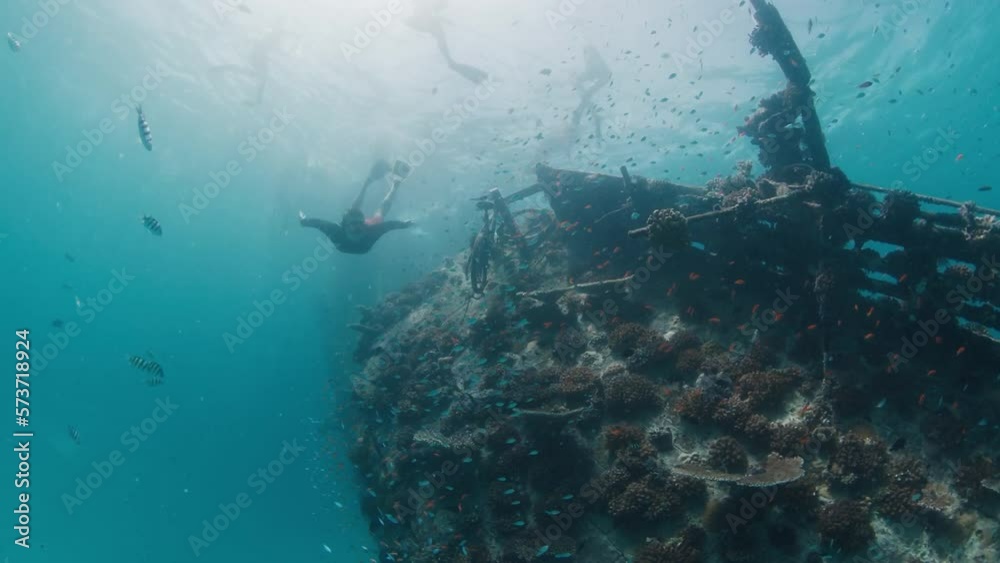 custom made wallpaper toronto digitalMan dives near the shipwreck with corals in a tropical sea in the Maldives