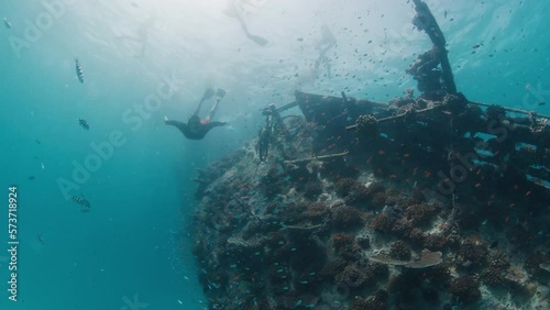 Wallpaper Mural Man dives near the shipwreck with corals in a tropical sea in the Maldives Torontodigital.ca