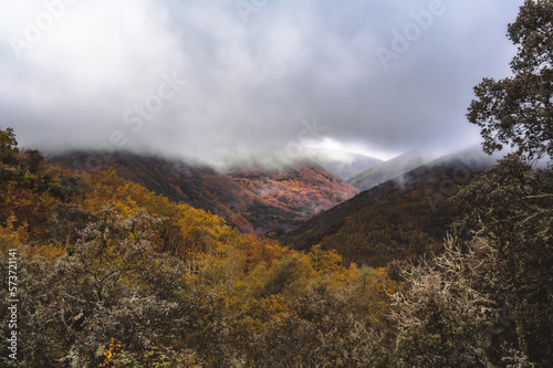 landscape with mountains in the morning