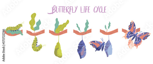 Butterfly life cycle concept. Stages of insect growth, biology and zoology. Caterpillar, cocoon and beautiful butterfly. Elegance and aesthetics, spring and summer. Cartoon flat vector illustration