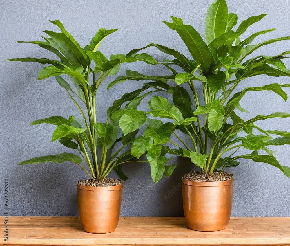 green plant in pot on wooden table green plant in pot on wooden table
