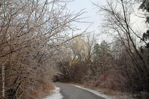 Winter landscape after freezing rain