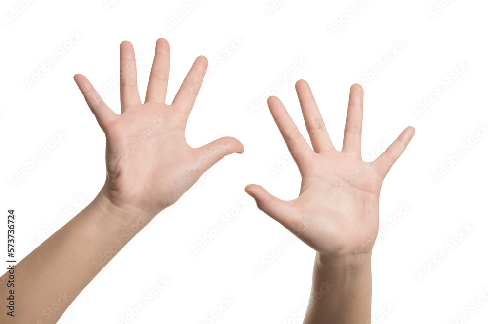 Woman hands gesturing isolated on white background Woman hands gesturing isolated on white background