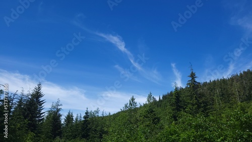Clouds over forest