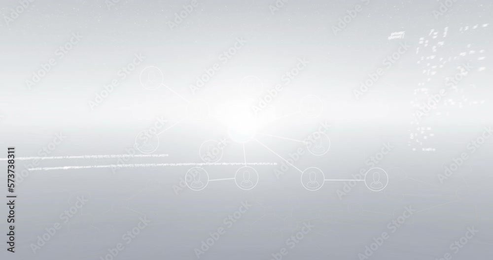 Animation of networks of connections and data processing Animation of networks of connections and data processing