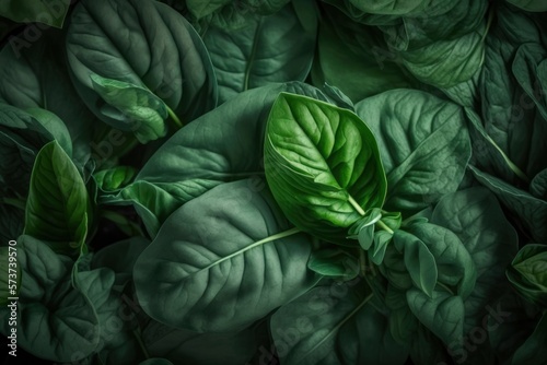 pattern of fresh spinach background  colorful seamless texture  close up   generative ai