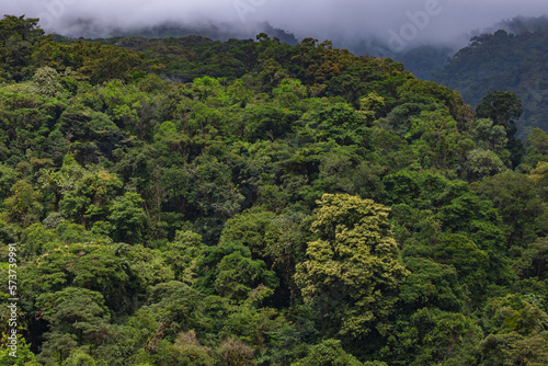 Rain Forest overlook in Costa Rica
