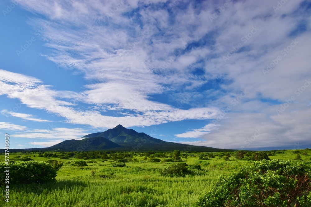 Fototapeta premium 利尻島の夏景色