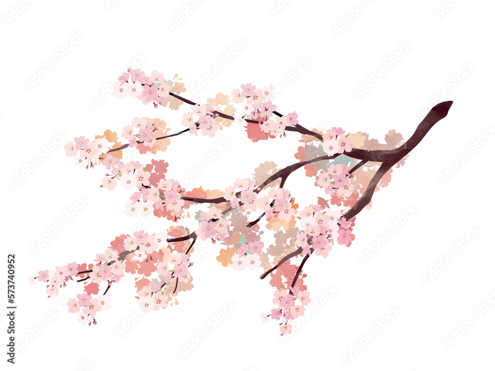 Watercolor style cherry blossom branch 1 Watercolor style cherry blossom branch 1