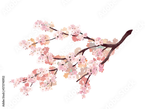 Watercolor style cherry blossom branch 1