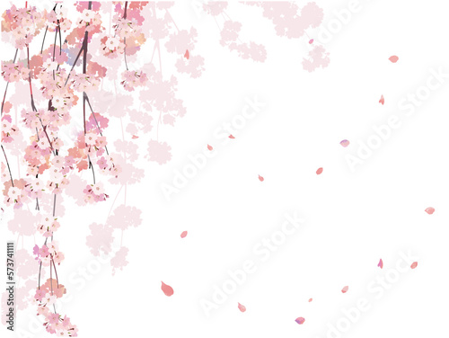 Cherry blossom branch background 6 weeping