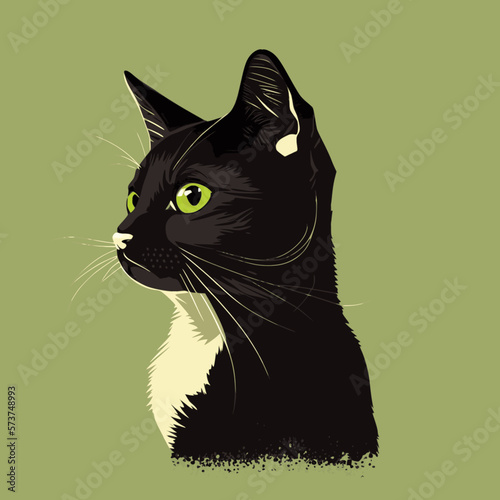 black cat