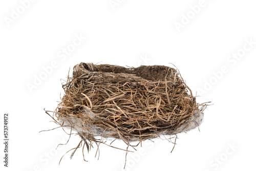 Empty bird nest isolated cutout photo