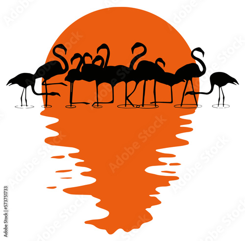 Florida is spelled out in the legs of a flock of flamingos standing in shallow water at sunset in this illustration about tropical Florida, USA.