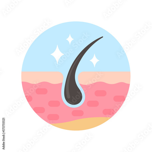 hair follicles on human skin hair disorder hair care