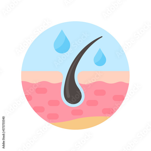 hair follicles on human skin hair disorder hair care