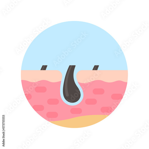 hair follicles on human skin hair disorder hair care