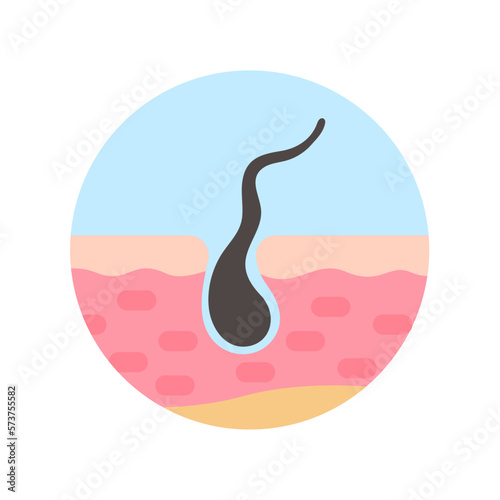 hair follicles on human skin hair disorder hair care