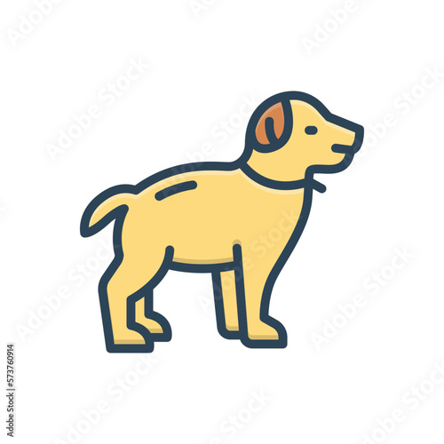 Color illustration icon for dog