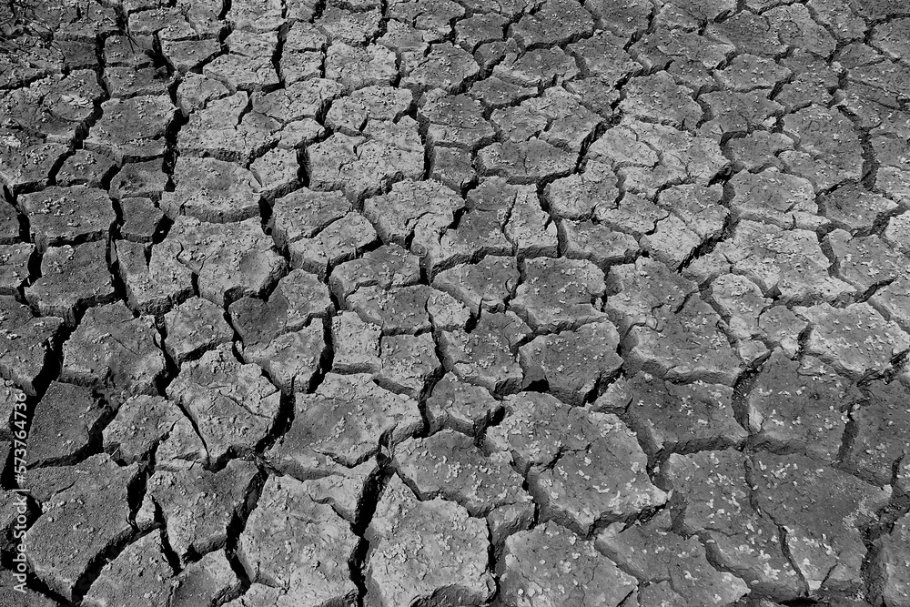 close up cracked soil close up cracked soil