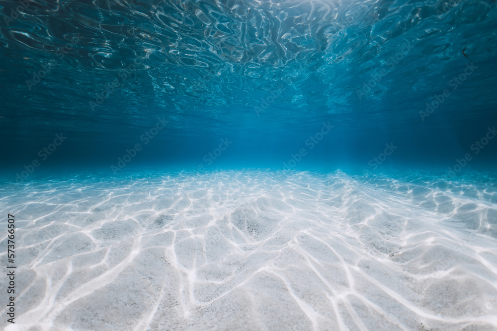Obraz premium Transparent ocean with sandy bottom and sun light underwater in Florida. Sea background