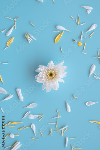 Flower Composition Floral Background Celebration Postcard Image