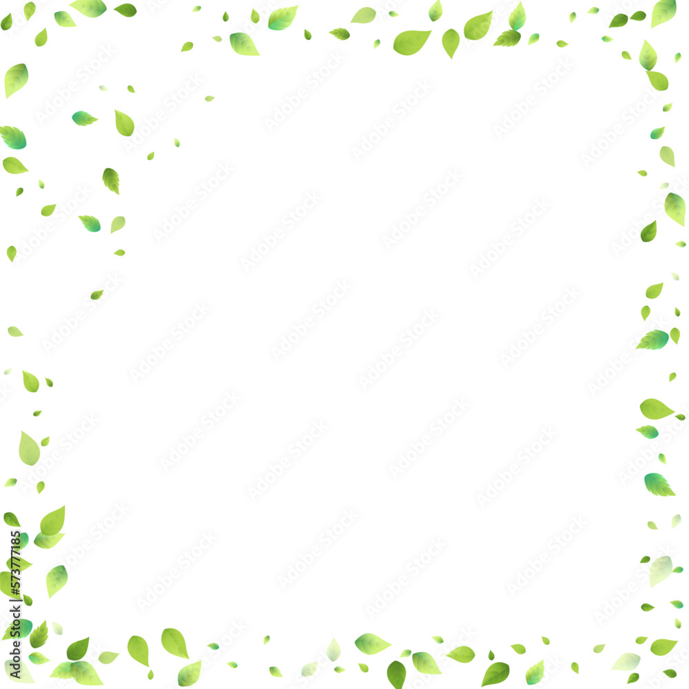 Leaves Green Falling Flying Foliage Leaf Tea Mint Leaves Green Falling Flying Foliage Leaf Tea Mint