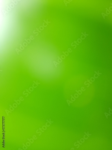 Illustration photo of green leaves for wallpaper or background