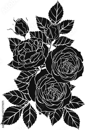 Sunset memory rose png.Beautiful flower on transparent background.