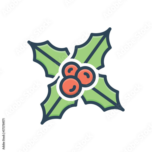 Color illustration icon for holly