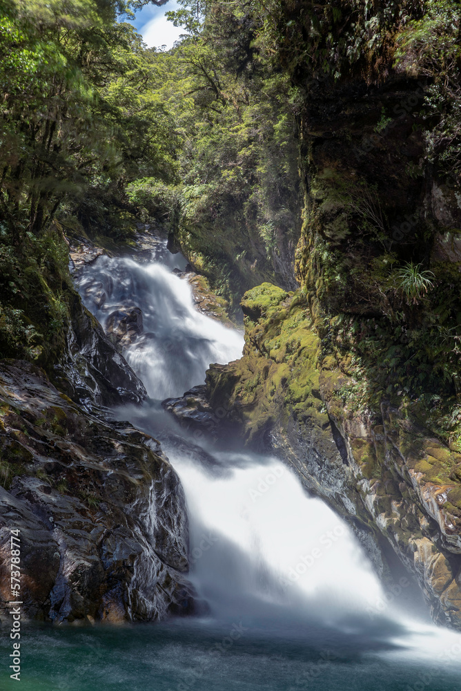 Fototapeta premium waterfall in New Zealand forest 