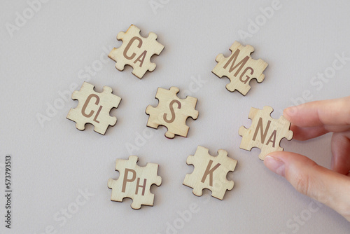 Set of puzzles labeled with the 7 main macronutrients on a beige background. Ca, Mg, Na, Cl, S, Ph, S, K