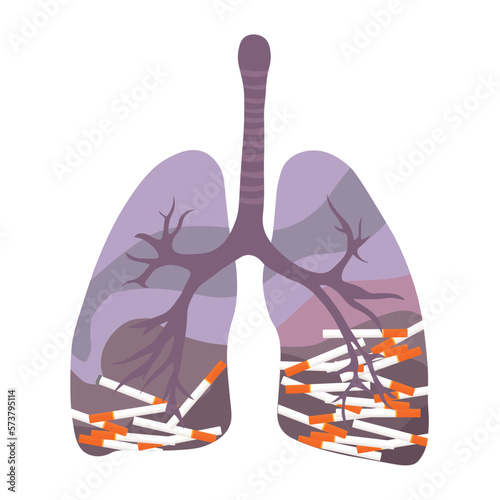 Drawn human lungs with harmful cigarettes on white background