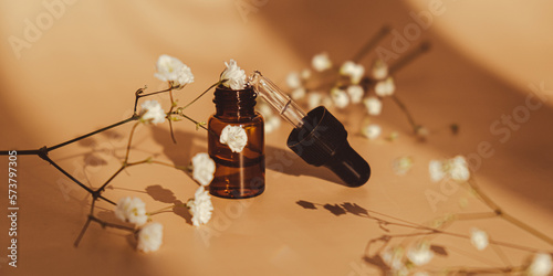 Beauty pipette Gypsophila or baby's breath white flowers on neutral beige background. Glass dropper of cosmetic oil dried flowers herbs. Natural skin care oil. Facial liquid serumcollagen