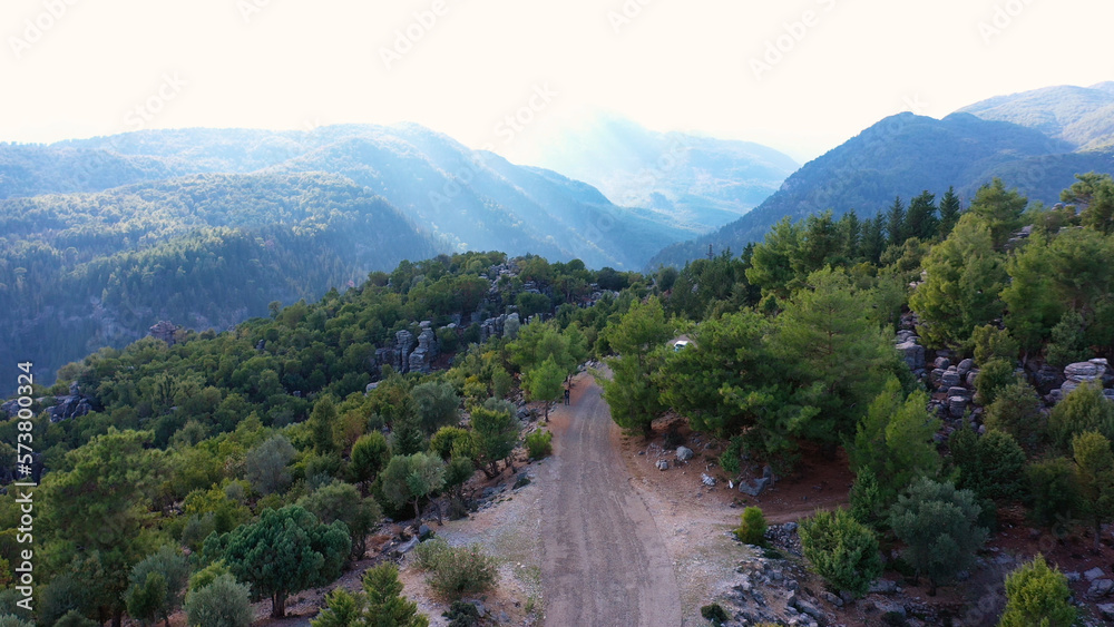 Fototapeta premium Top of the mountain among evergreen trees. Road on the peak of the mountain.