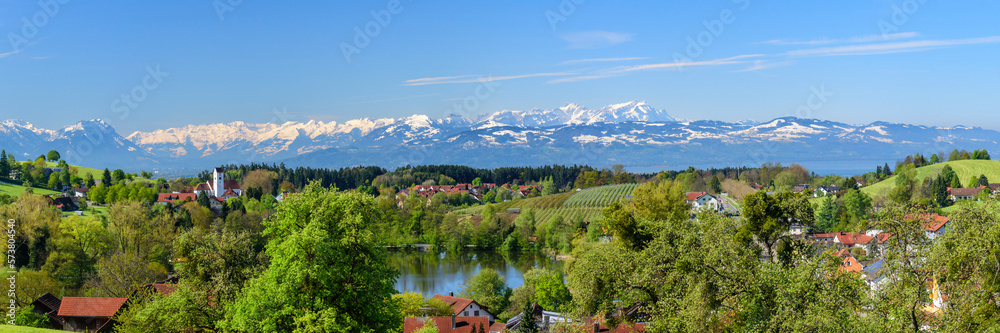 Fototapeta premium Frühlingshaftes Alpenvorland am Bodensee nördlich von Lindau