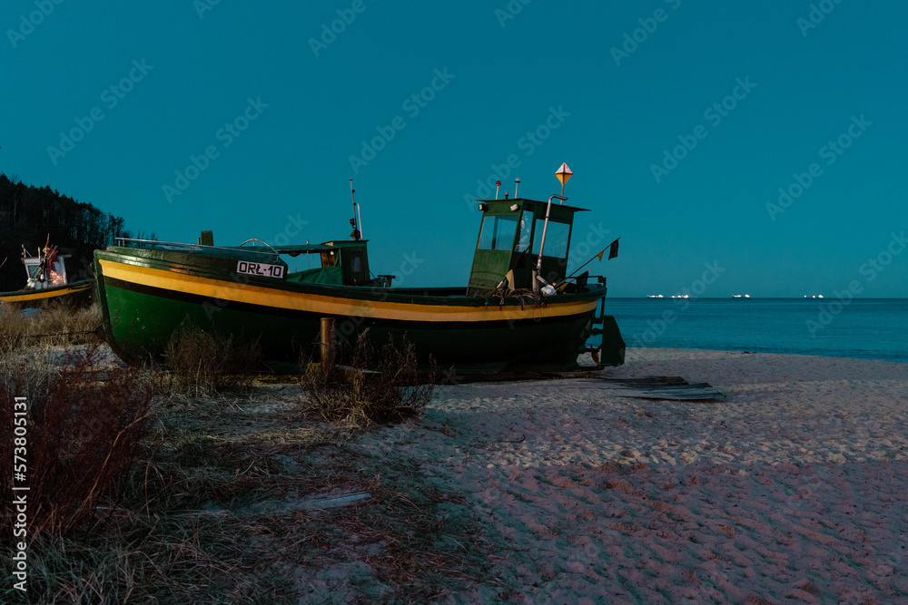Obraz premium Fish cutter