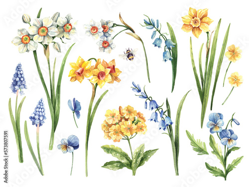 Εκτύπωση καμβά White daffodils, Yellow daffodils, blue muscari, bluebells and primroses set
