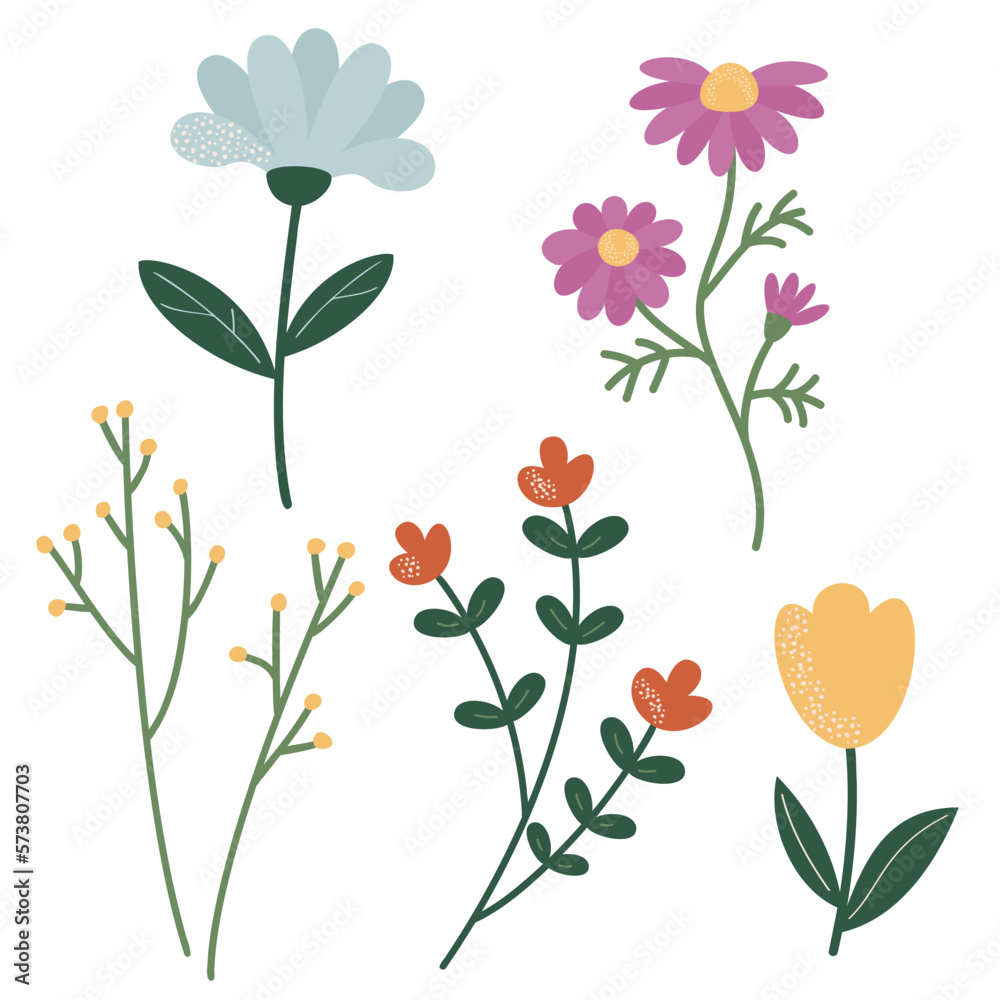 A set of twigs and flowers for decoration. Vector illustration of stylized plants in cartoon style. Isolated on a white background.