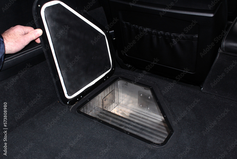 Builtin freezer in a car. Builtin Refrigerator in lux Car. Fridge In