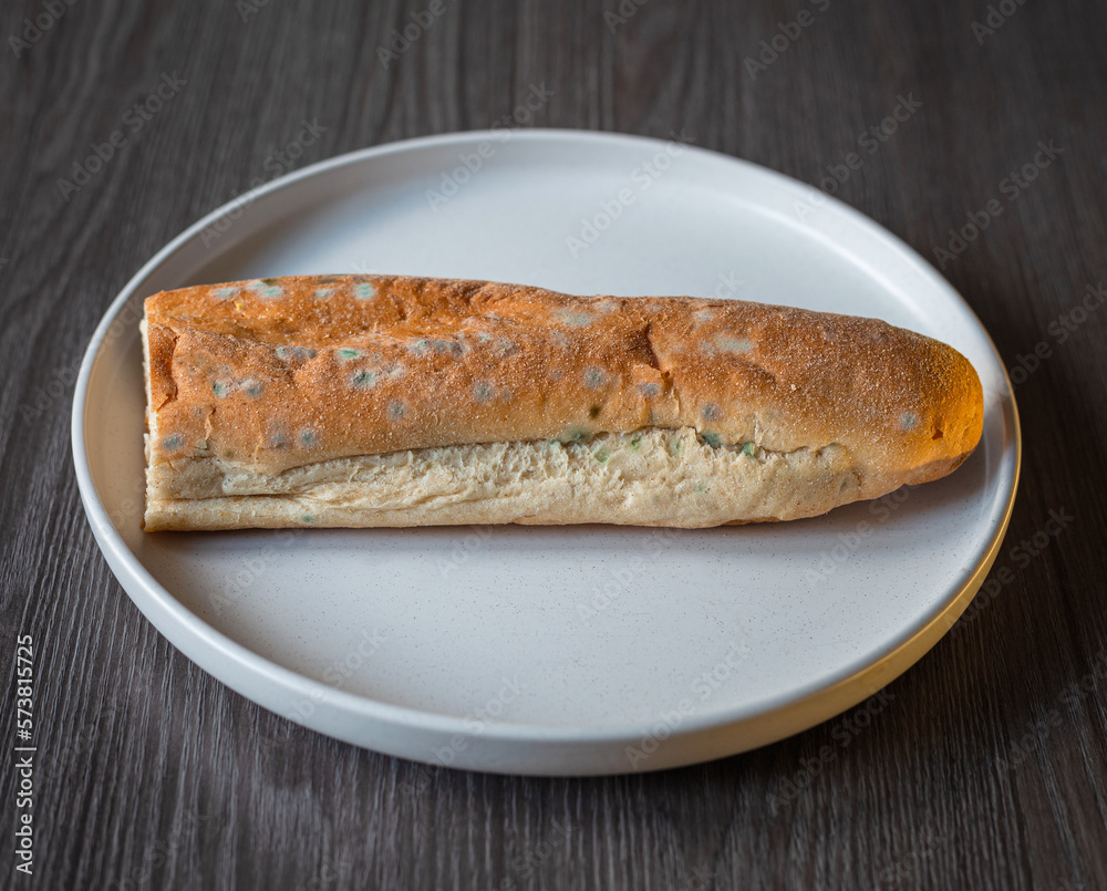Moldy bread in a white ceramic plate on a wooden table, top view. Stale and wasted food. Spoiled food, the expiration date has expired. Green mold on rye bread. Spoiled food on a ceramic plate. Moldy bread in a white ceramic plate on a wooden table, top view. Stale and wasted food. Spoiled food, the expiration date has expired. Green mold on rye bread. Spoiled food on a ceramic plate.