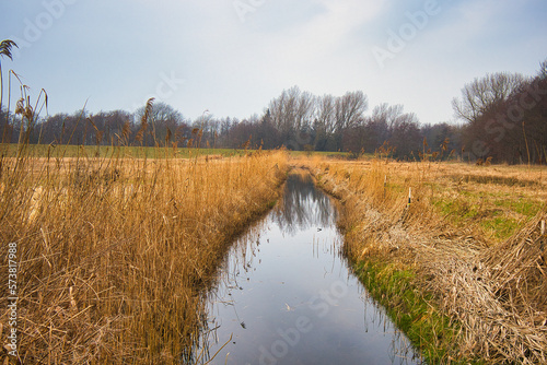 Wassergraben hinter dem Deich Wustrow auf dem Darß, Ostsee Strand, Wustrow, Mecklenburg Vorpommern, Deutschland