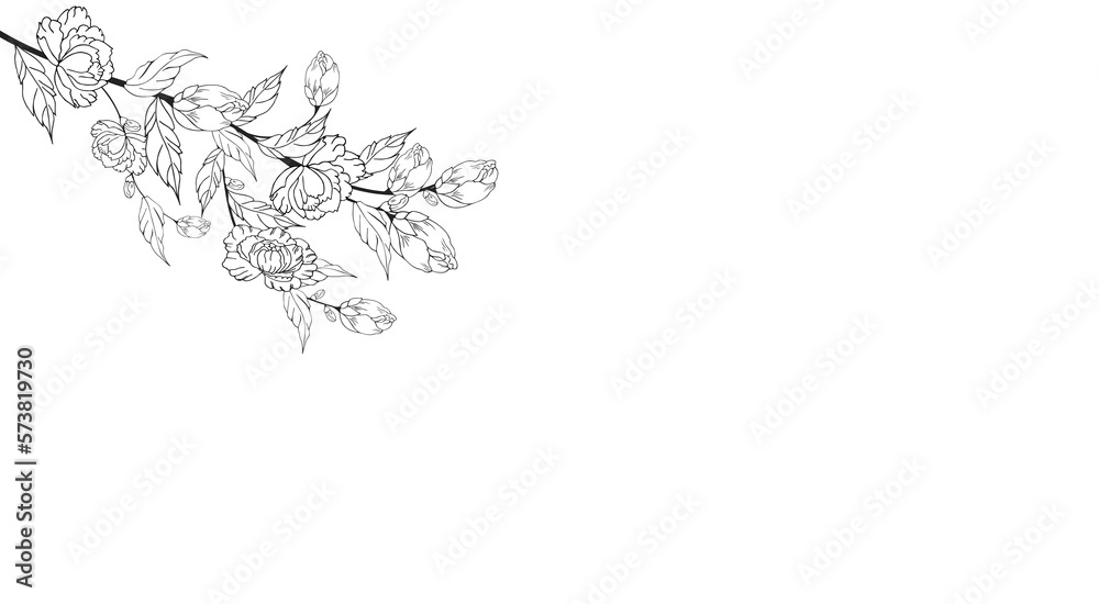 Delicate floral background, luxurious blooming branch, frame, border, with delicate flowers and branches of buds. Contour hand drawing. Engraving. With space for text