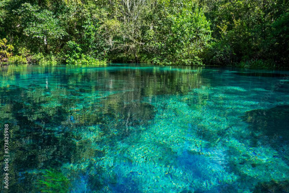 Turquoise pond of Itchetucknee Headsprings, Florida, USA Turquoise pond of Itchetucknee Headsprings, Florida, USA