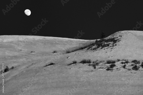 Deer graze in the snow while the moon rises over Mount Jumbo near Missoula, Montana. photo