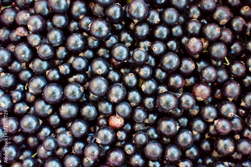 Blackcurrant background. Fresh round berries of ripe currant